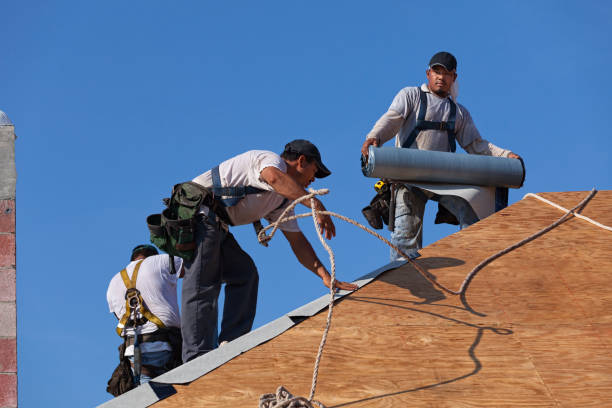 Best Storm Damage Roof Repair  in Coats Bend, AL