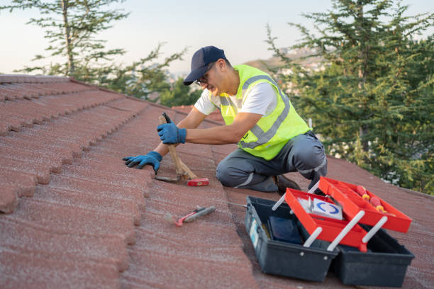 Best Local Roofing Companies  in Coats Bend, AL